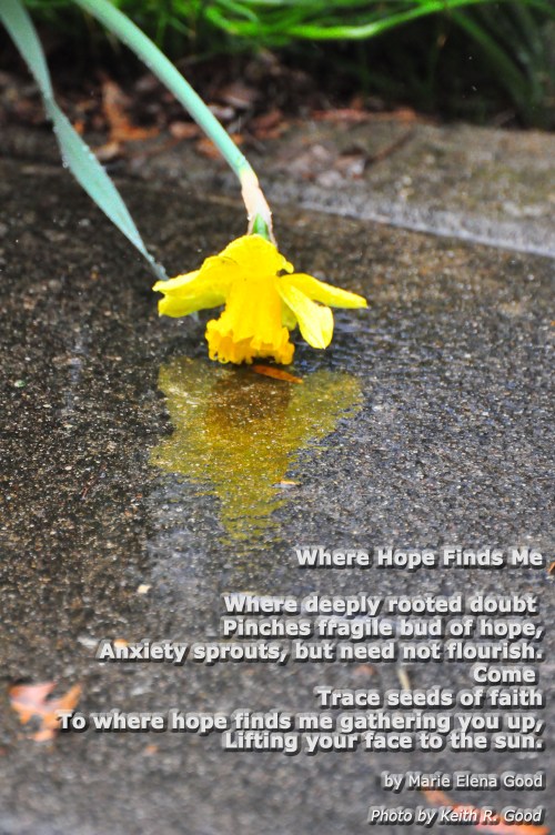 Where hope finds me_edited-1