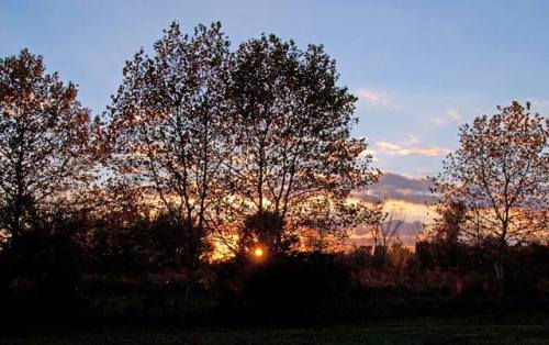 1383808_644200788934657_500349472_n