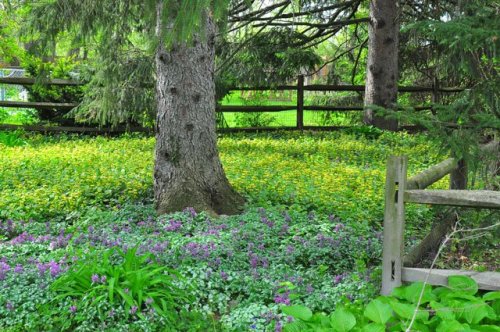 525815_394958370525568_671107484_n