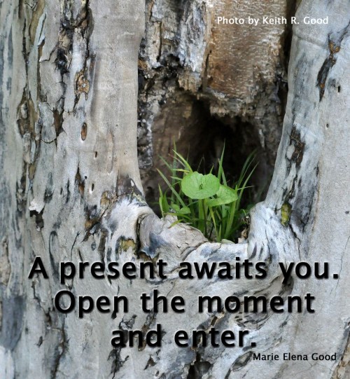 534350_408634779157927_1144408240_n copy