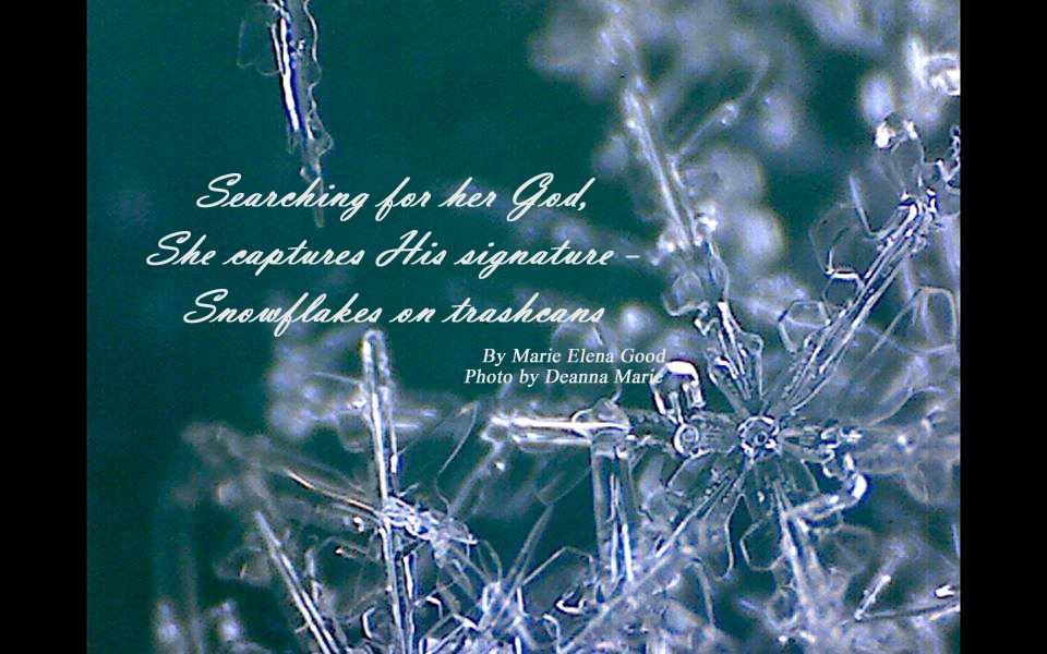 946133_10153782661481351_5665515717749229264_n copy