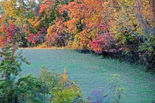 1461677_649503791737690_281191710_n