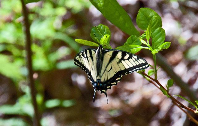 21223_567913833230020_1145500201_n