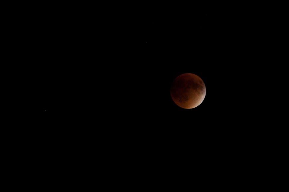 11222290_984170634937669_128032116415427820_n