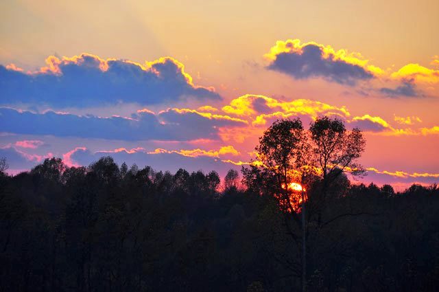 601035_427583373929734_156293894_n