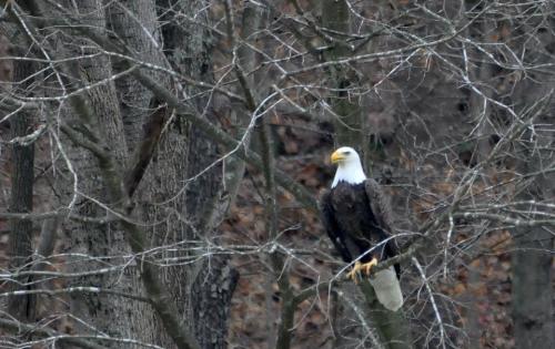 318882_557908940897176_979366149_n