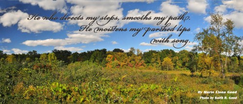 14682056_886266818171902_2624628152035454911_o copy