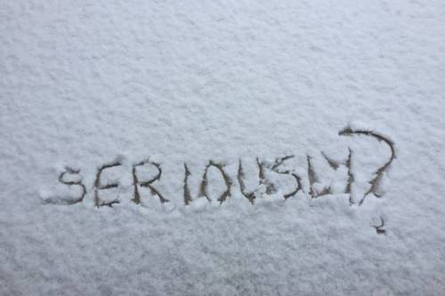 seriously-snow