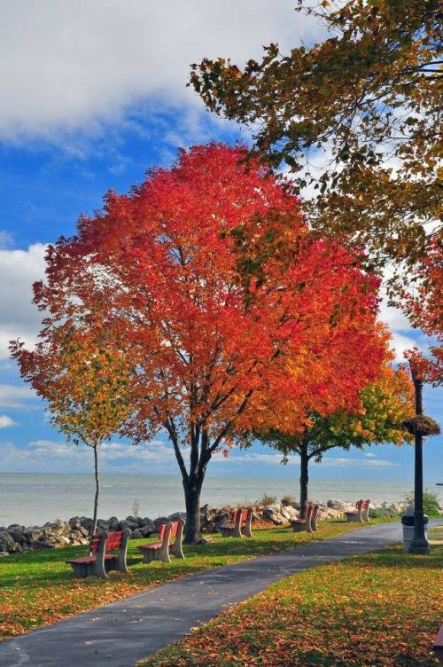 12047152_994012953953437_1254309433364155932_n