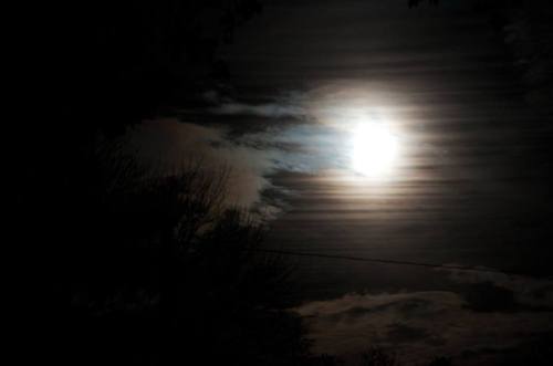 14993472_904154666383117_3856926008807474138_n