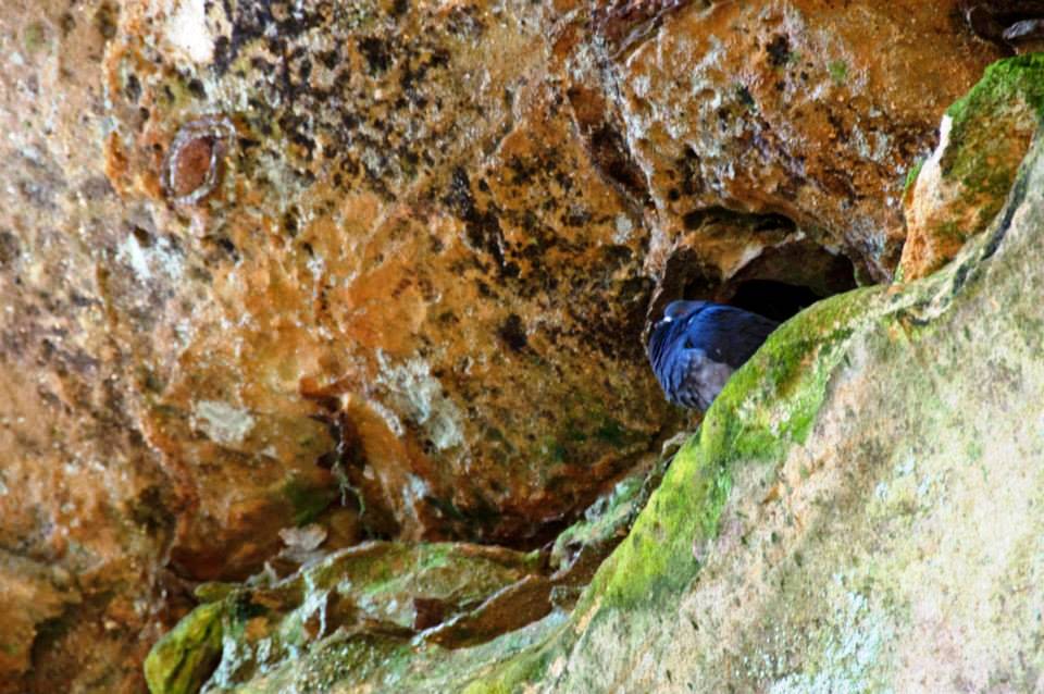 10698648_825315130823221_7438773429860879147_n