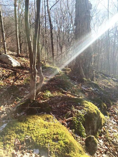 12718153_10153811329421351_1168068422088427939_n