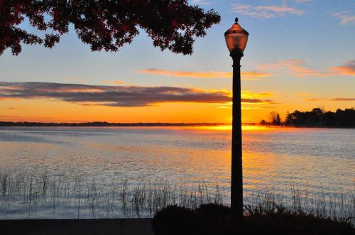 45724991_1427542094044369_2088245371699462144_n