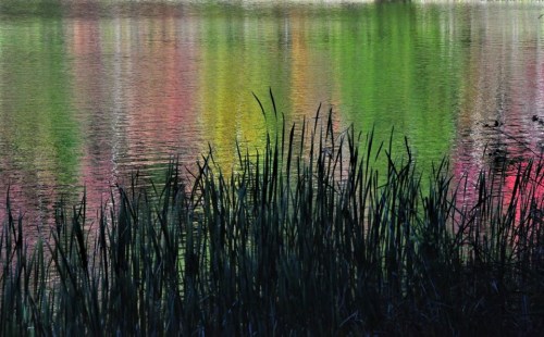 44878576_1419217941543451_4941619440396533760_o