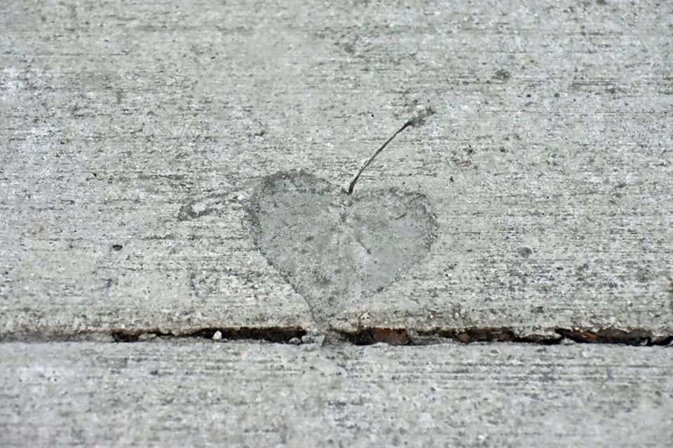 82783750_2762006563820725_9184896727679762432_o