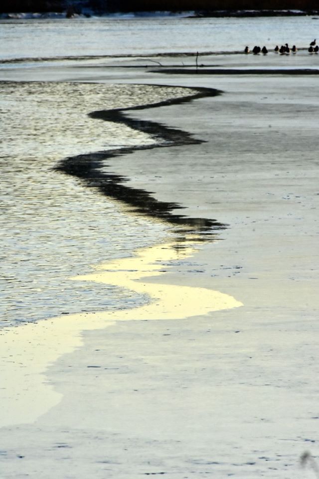 80679888_1784613875003854_6616101389514833920_o